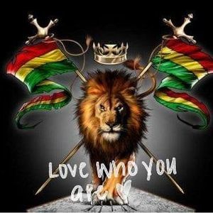 Meet your Posher, Vincent